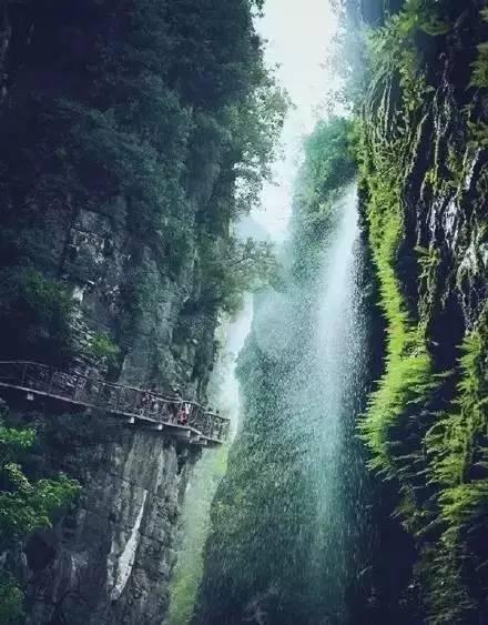 奋进之路｜在生态江西氧吧纵情呼吸